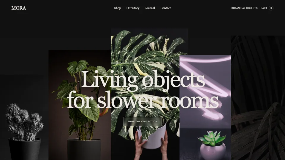 MORA website template preview